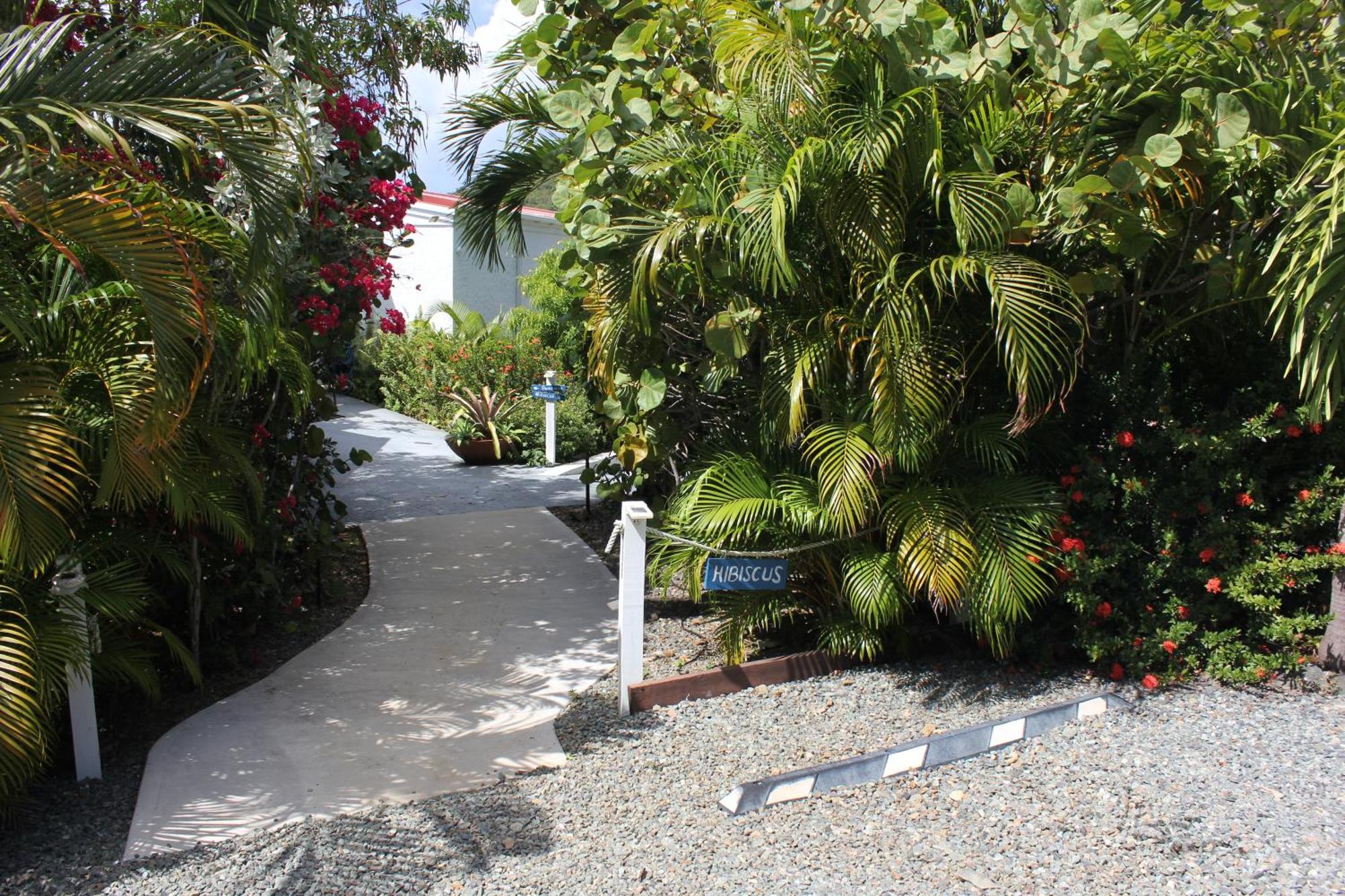 Beautiful Honeymoon Suite At Sunset Serenade Cruz Bay Exterior photo